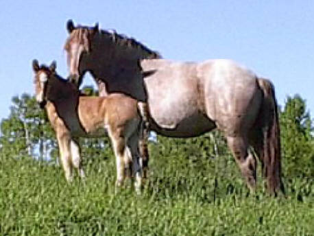 SEVEN WITH HIS MOM IN CANADA